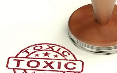 TOXIC  INGREDIENTS IN PERSONAL CARE PRODUCTS